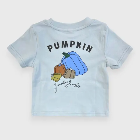 Голубая футболка Pumpkin