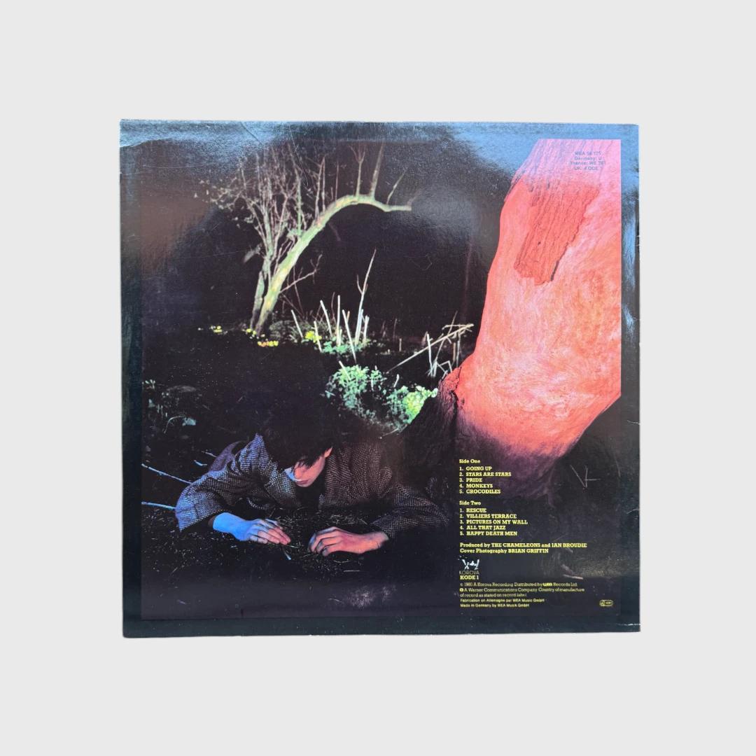 Echo & The Bunnymen - Crocodiles (1980)