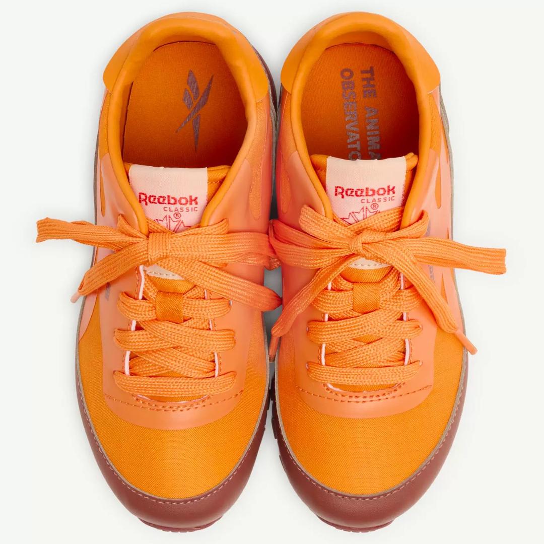 Reebok оранжевые кроссовки Classic х The Animal Observatory (Spain)