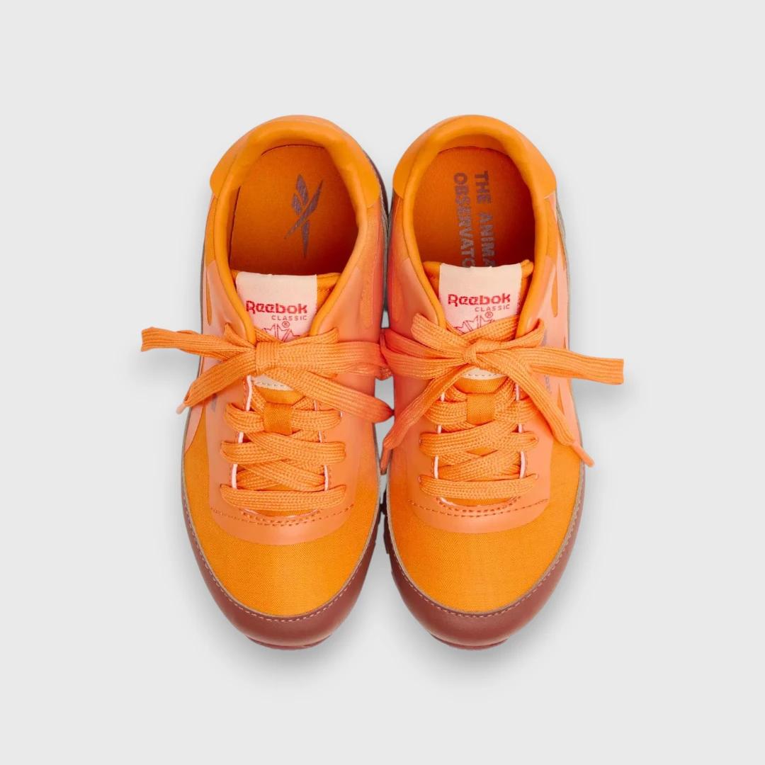 Reebok оранжевые кроссовки Classic х The Animal Observatory (Spain)