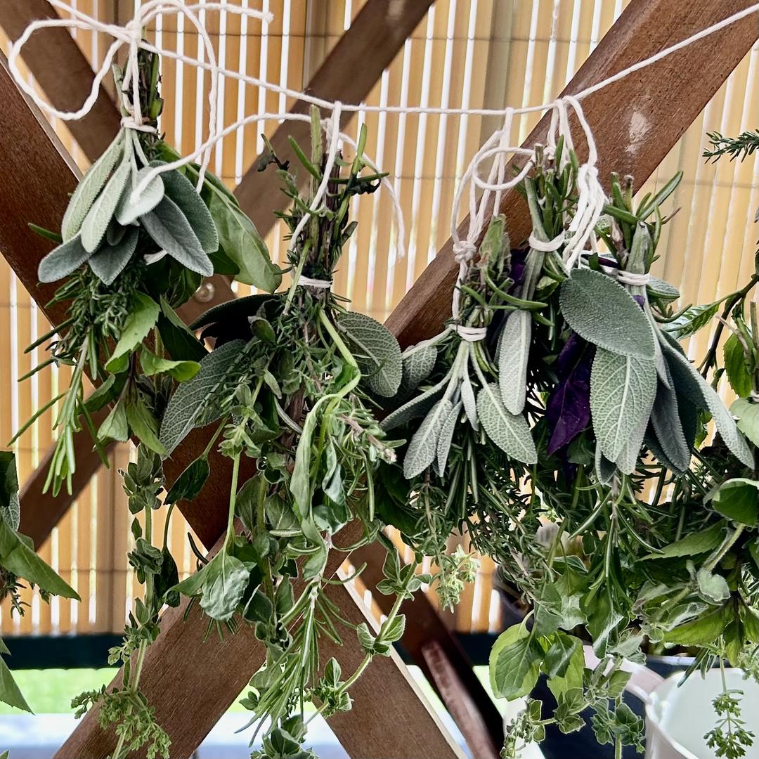 Mediterranes Kräuter-Bouquet