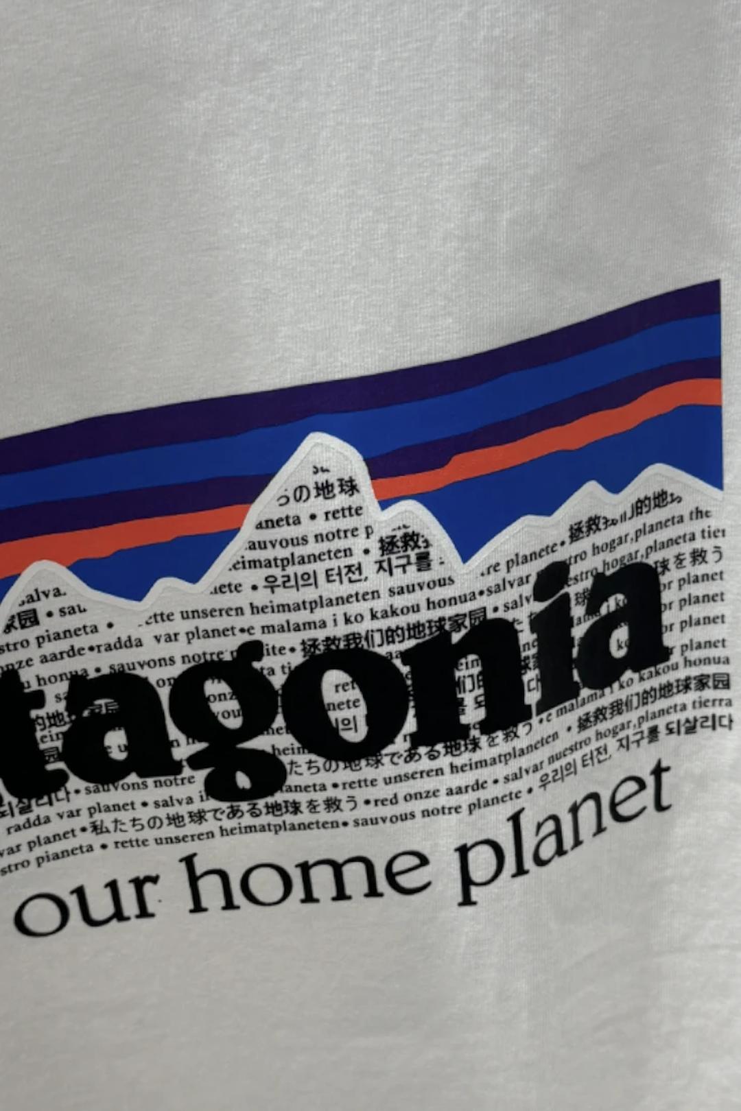 Белая футболка Patagonia