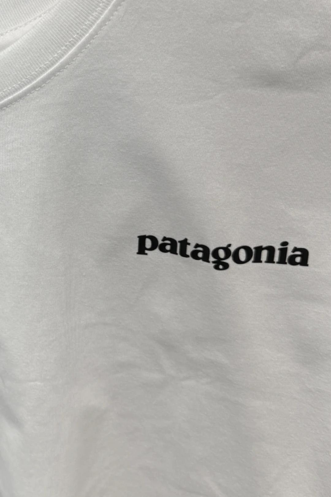Белая футболка Patagonia с принтом