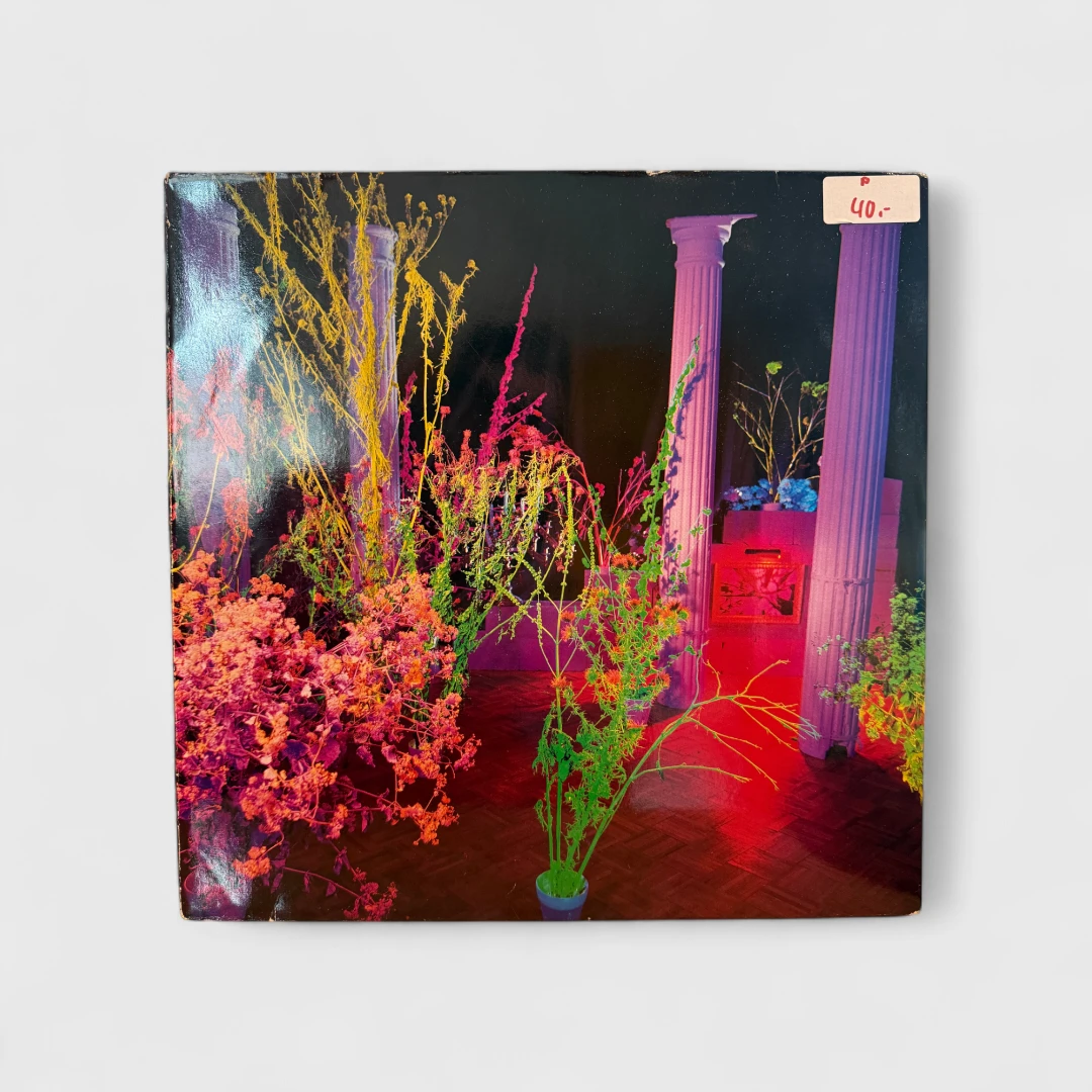 Hüsker Dü Vinyl: Songs and Stories