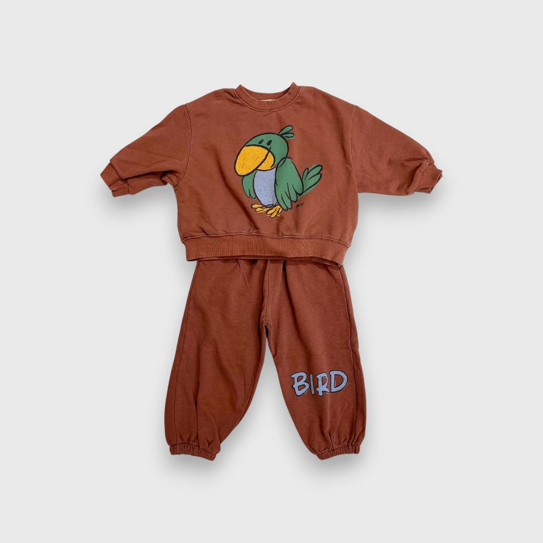 Коричневый комплект с рисунком птицы