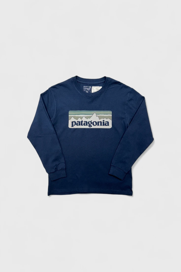 Темно-синий свитшот Patagonia