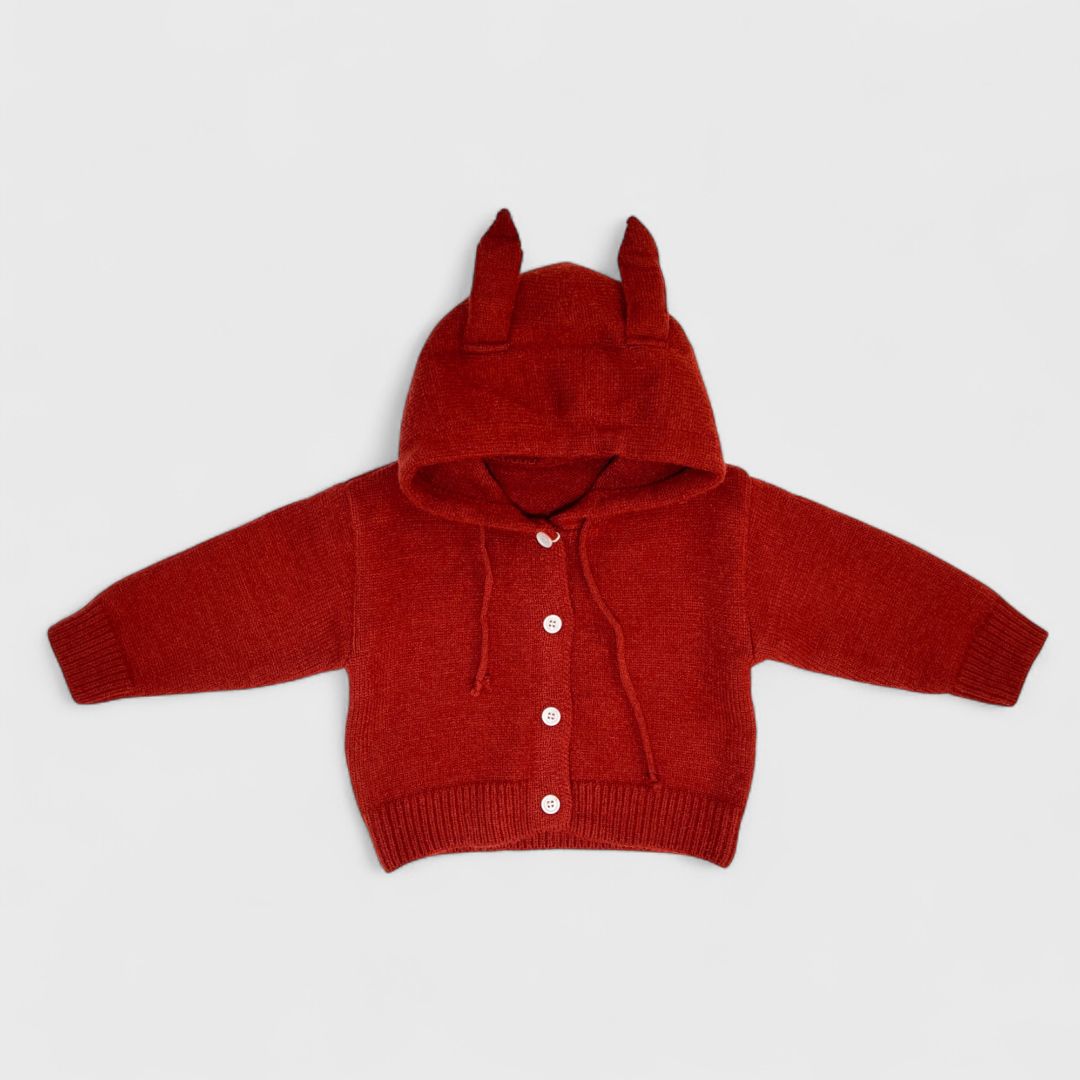 Красный свитер с капюшоном