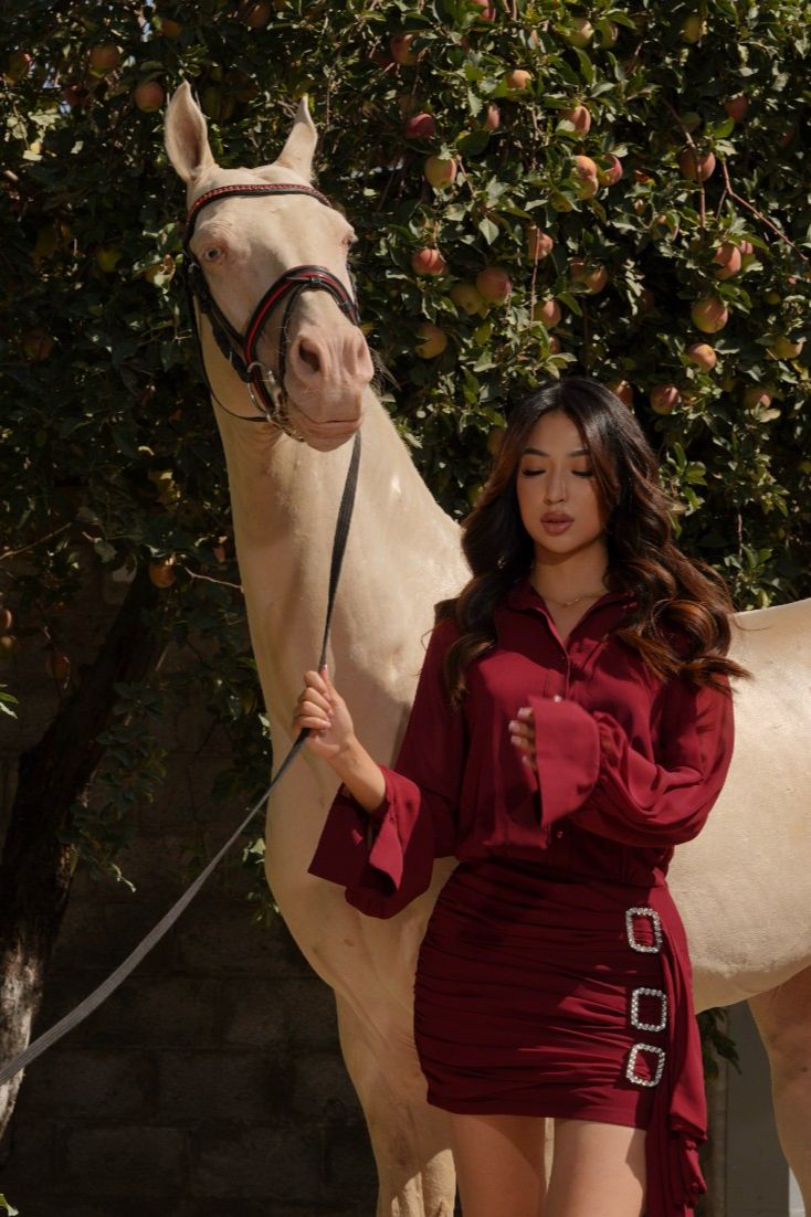 Hermes bordeaux dress