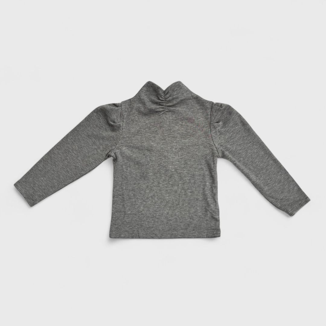 Серый лонслив