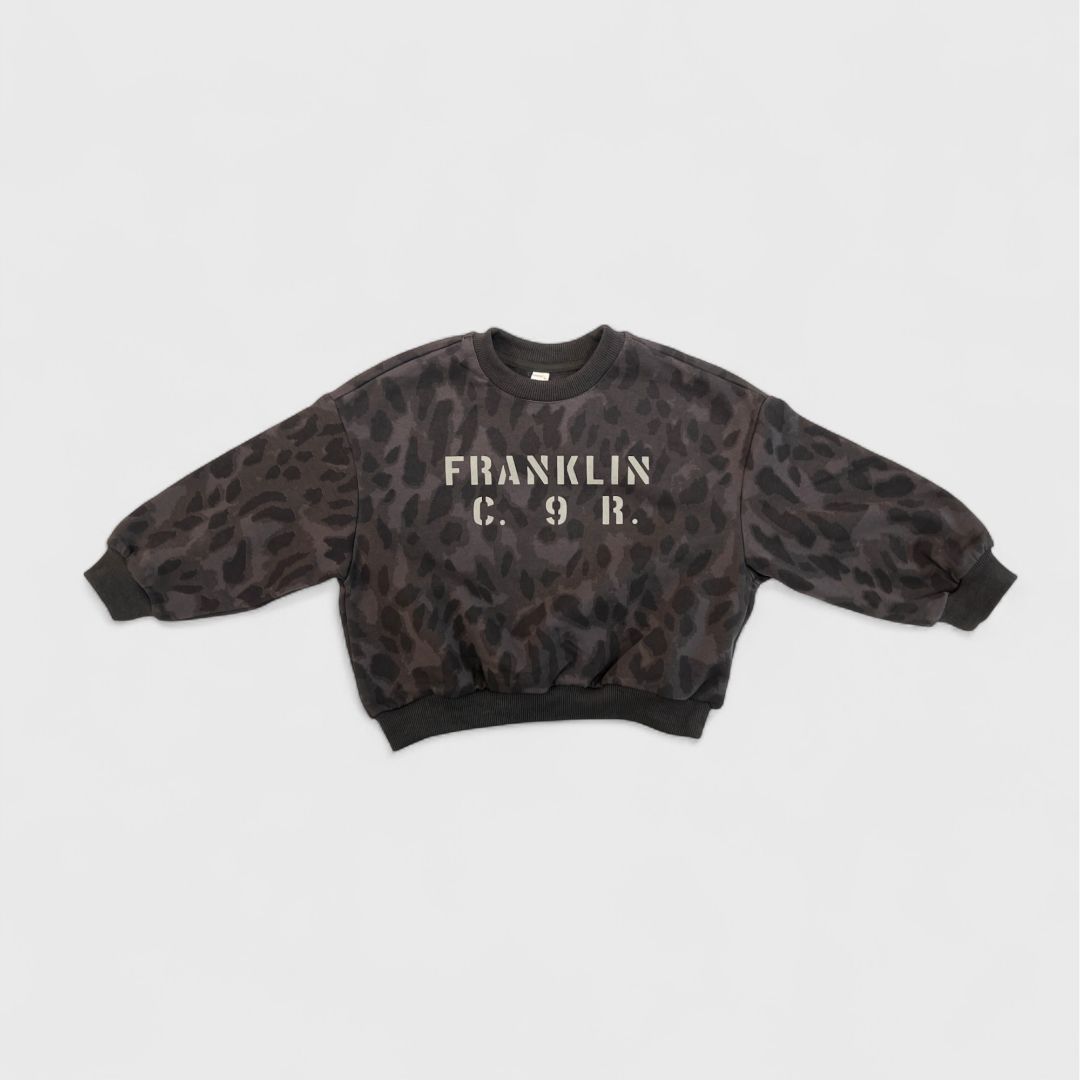 Темная толстовка с принтом Franklin
