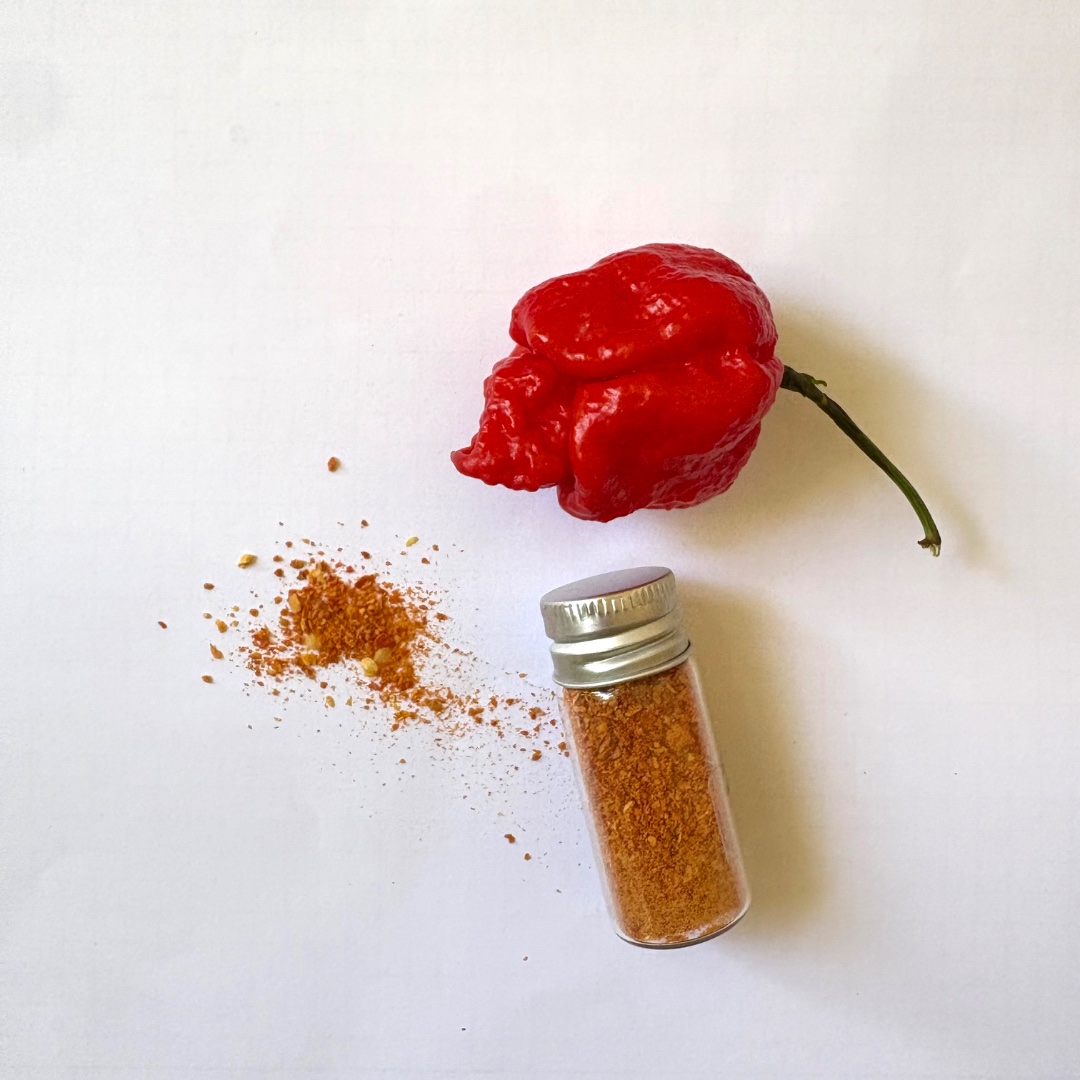 Chilipulver – Trinidad Scorpion Moruga