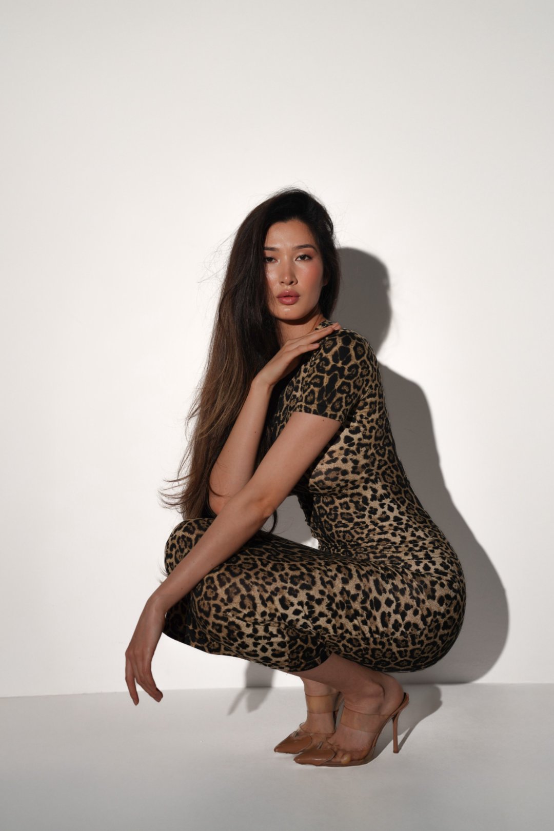 Leonel Leopard Print Dress
