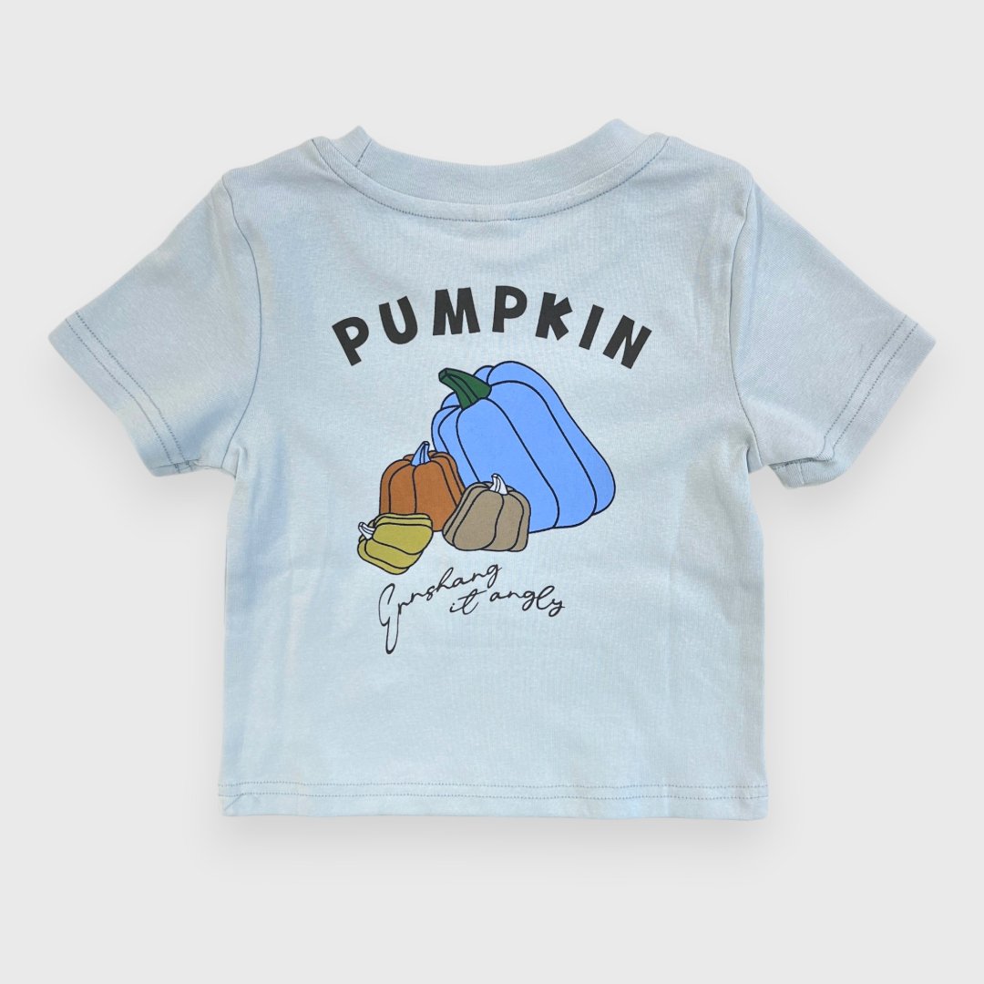Голубая футболка Pumpkin