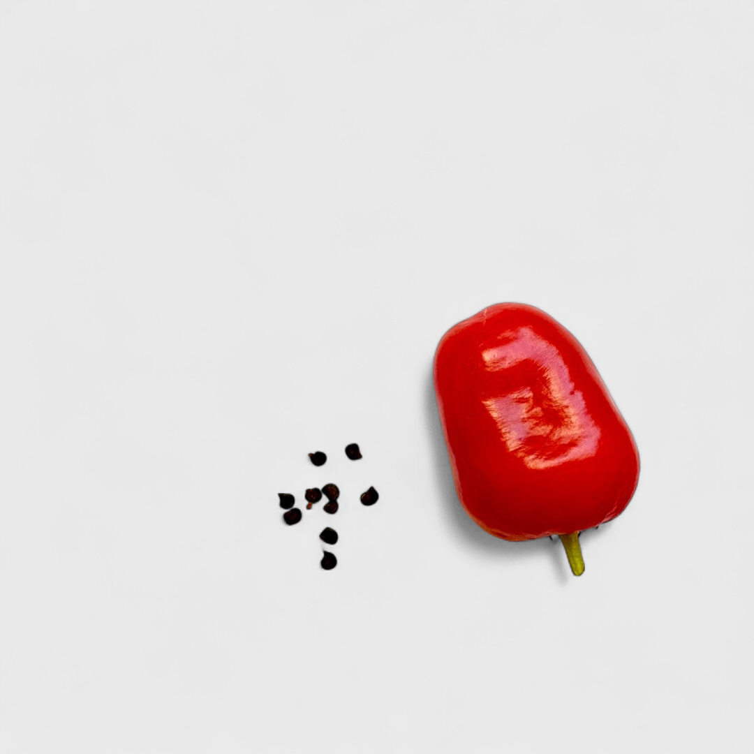 Rocoto (Rot) Saatgut