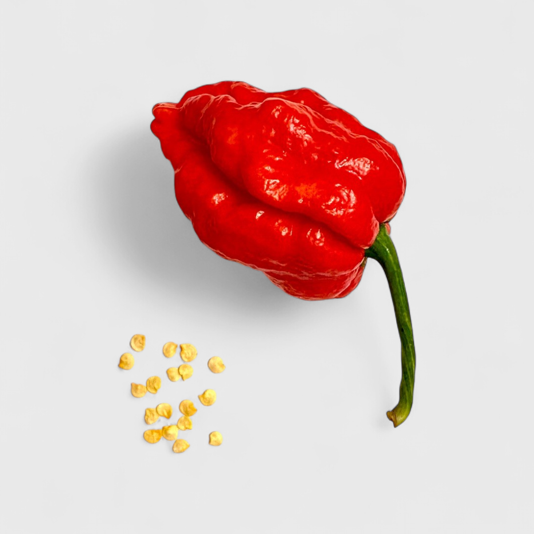 Trinidad Scorpion Moruga Red Saatgut